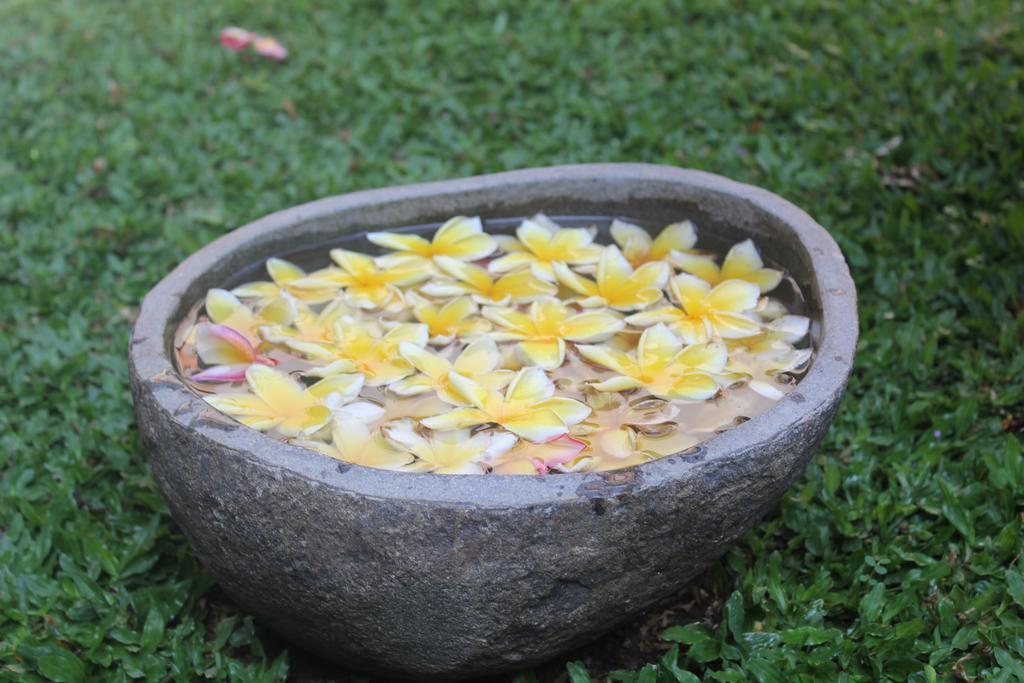 Odah Ayu Ubud (Bali)